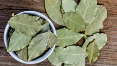 Waarom leggen ze een laurierblad in de pot bij kamerplanten?