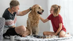 Welk gezinslid krijgt de meeste liefde van de hond – en waarom?