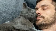 Zo laat je kat haar liefde zien: als ze dit doet, ben jij haar dierbaarste persoon