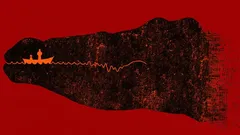 Wat zag jij als eerste: psychologische test onthult je belangrijkste karaktertrekken